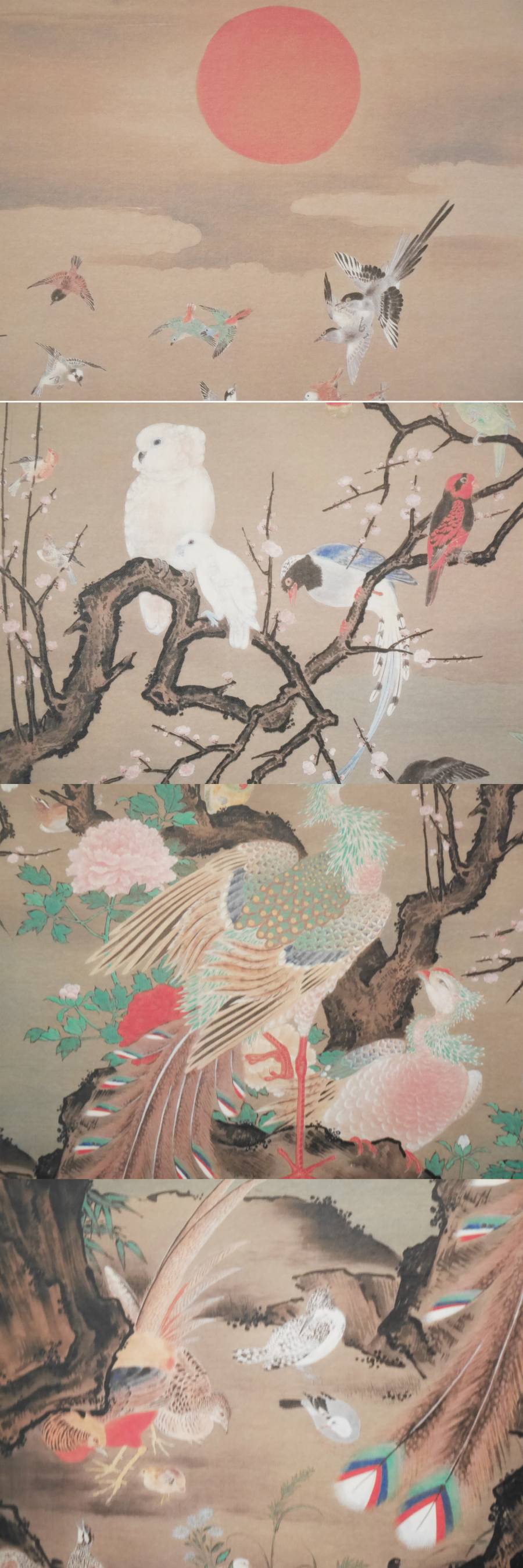 此商品圖像無法被轉載請進入原始網查看